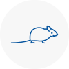 Mice Exterminators In Yeadon